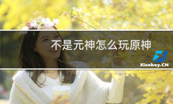 不是元神怎么玩原神