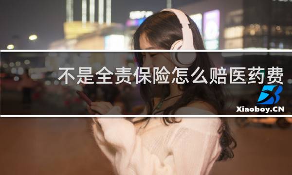 不是全责保险怎么赔医药费