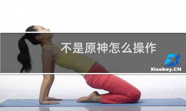 不是原神怎么操作