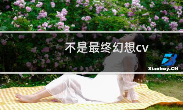 不是最终幻想cv