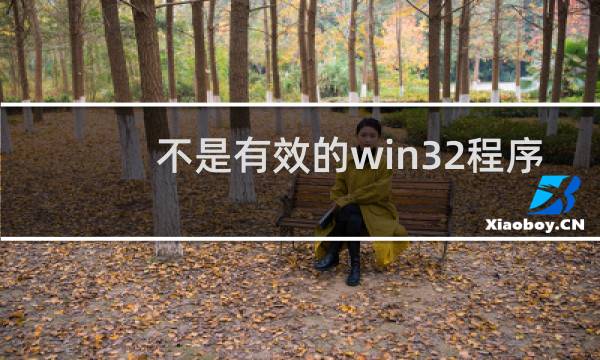 不是有效的win32程序