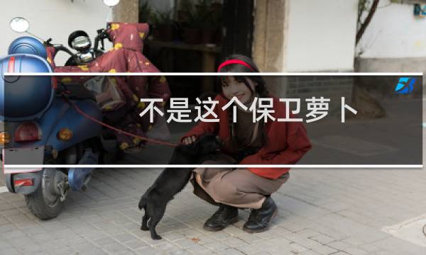 不是这个保卫萝卜