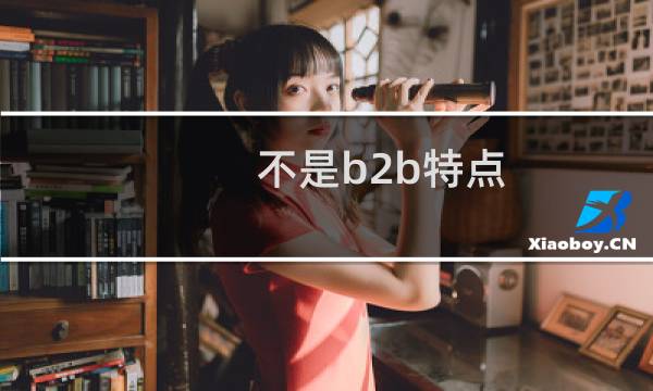 不是b2b特点