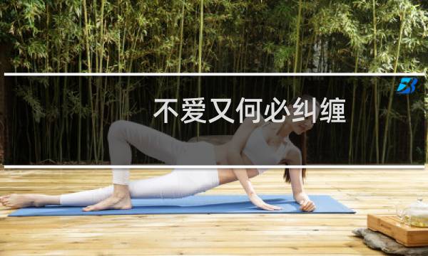 不爱又何必纠缠 歌词