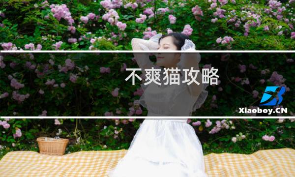 不爽猫攻略
