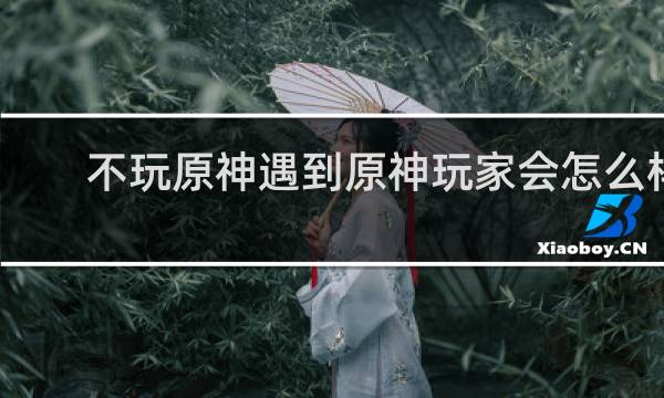 不玩原神遇到原神玩家会怎么样