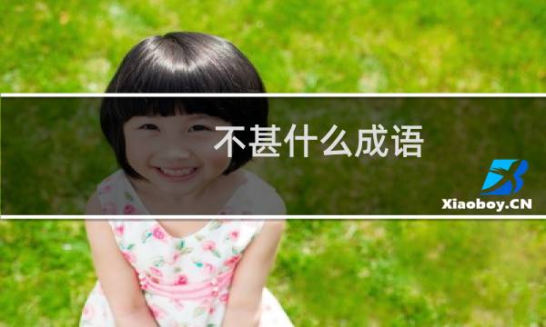 不甚什么成语