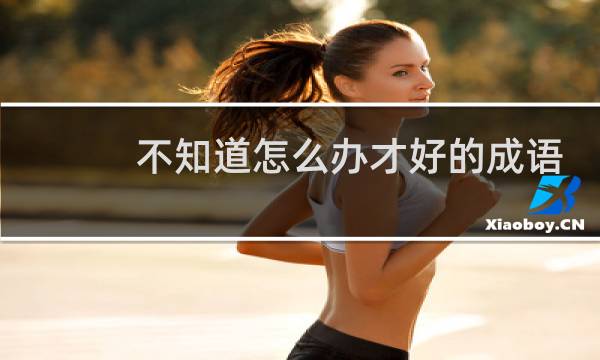 不知道怎么办才好的成语