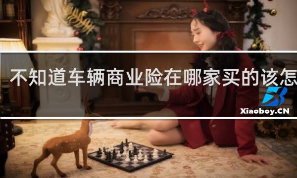 不知道车辆商业险在哪家买的该怎么查