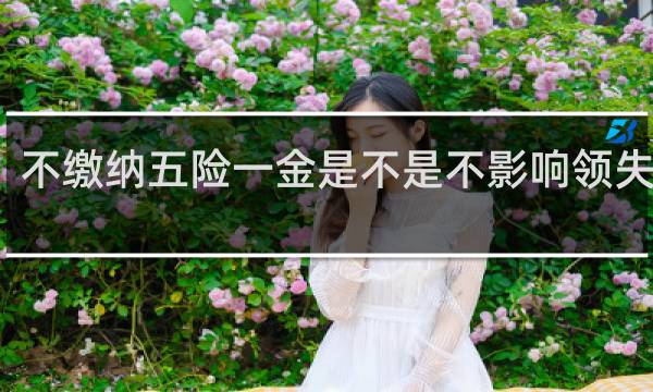 不缴纳五险一金是不是不影响领失业金