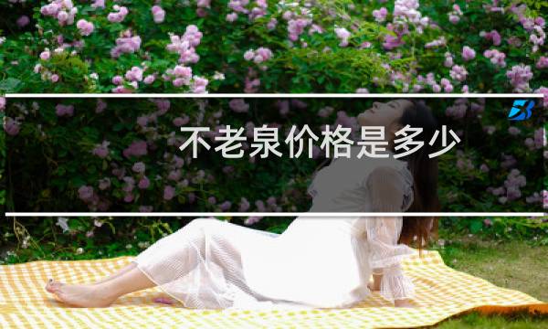 不老泉价格是多少