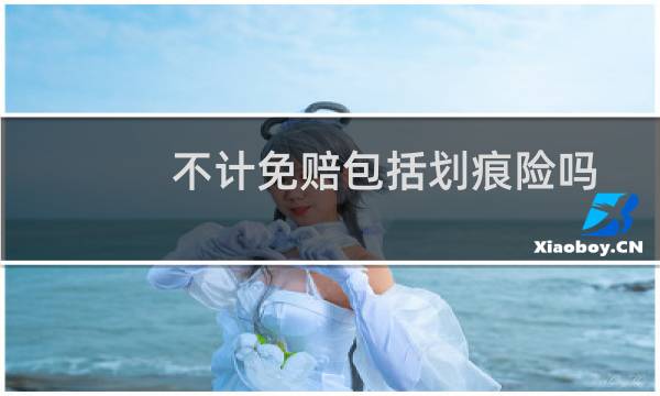 不计免赔包括划痕险吗