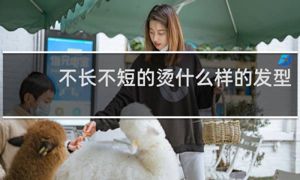 不长不短的烫什么样的发型