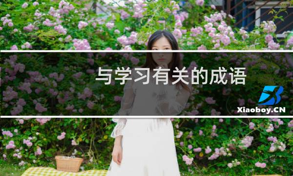 与学习有关的成语