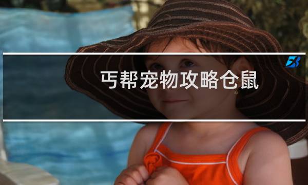 丐帮宠物攻略仓鼠