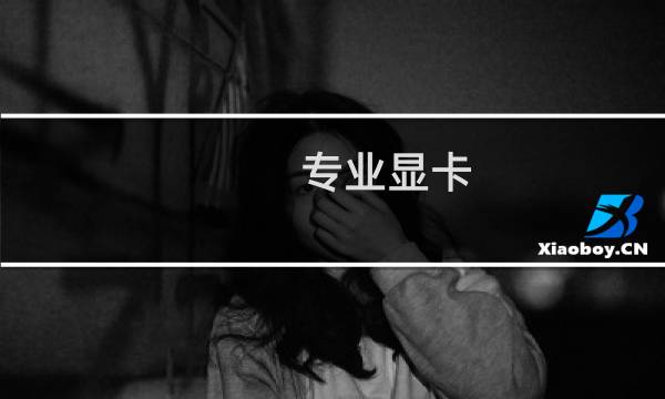 专业显卡 攻略