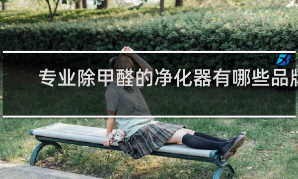 专业除甲醛的净化器有哪些品牌