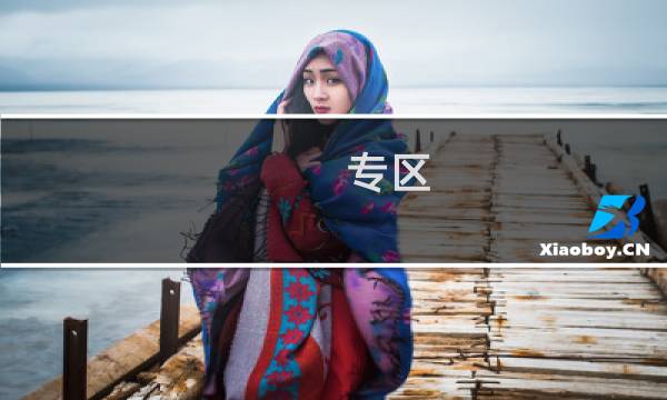 专区 攻略 视频
