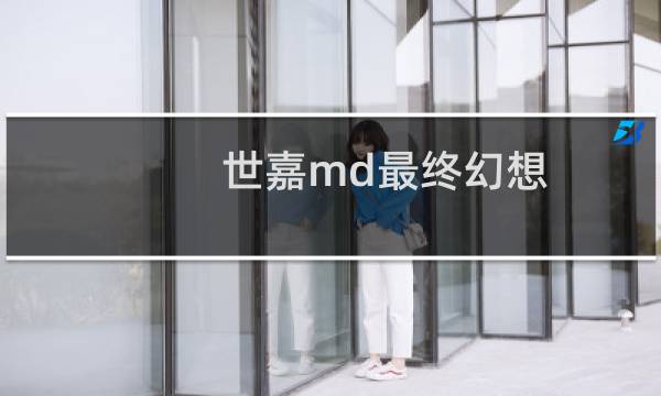 世嘉md最终幻想