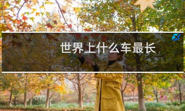 世界上什么车最长