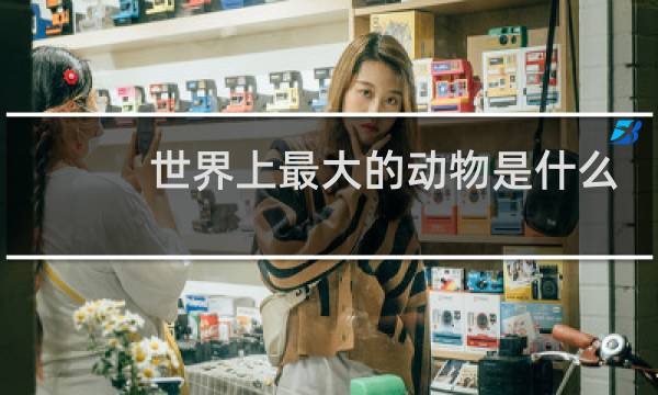 世界上最大的动物是什么