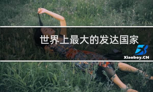 世界上最大的发达国家