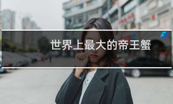 世界上最大的帝王蟹