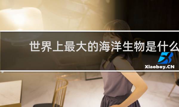 世界上最大的海洋生物是什么