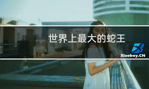 世界上最大的蛇王