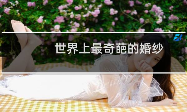 世界上最奇葩的婚纱