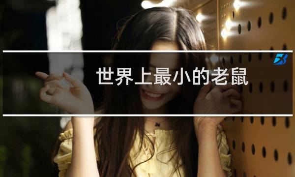 世界上最小的老鼠