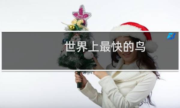 世界上最快的鸟