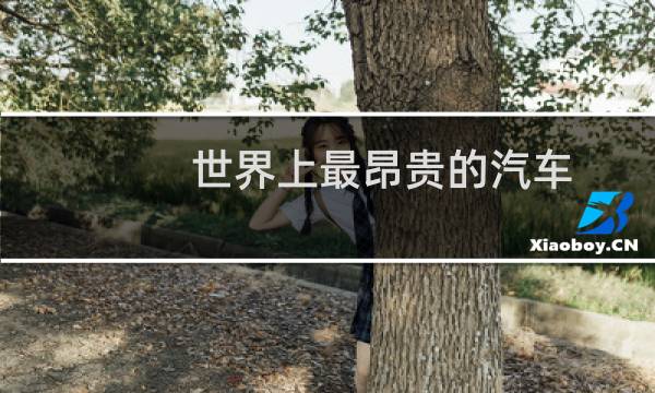世界上最昂贵的汽车