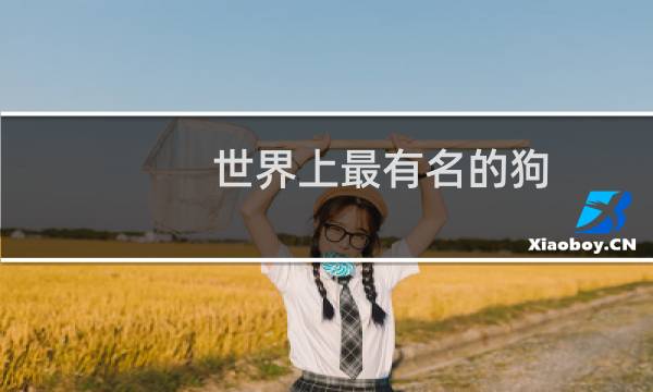 世界上最有名的狗