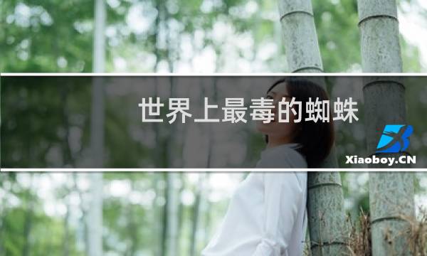 世界上最毒的蜘蛛