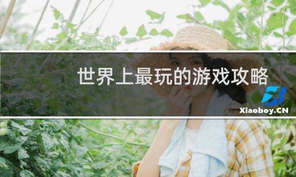 世界上最玩的游戏攻略
