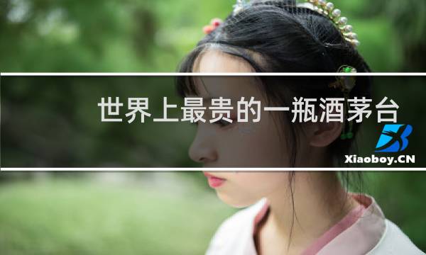 世界上最贵的一瓶酒茅台