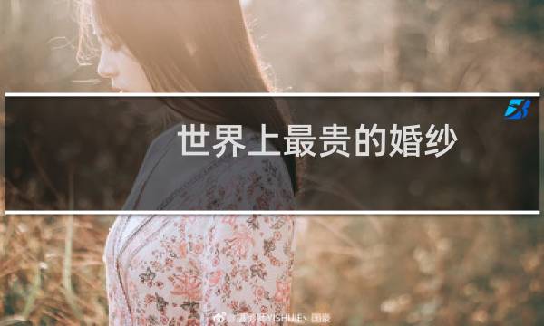 世界上最贵的婚纱