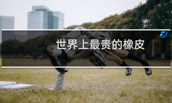 世界上最贵的橡皮