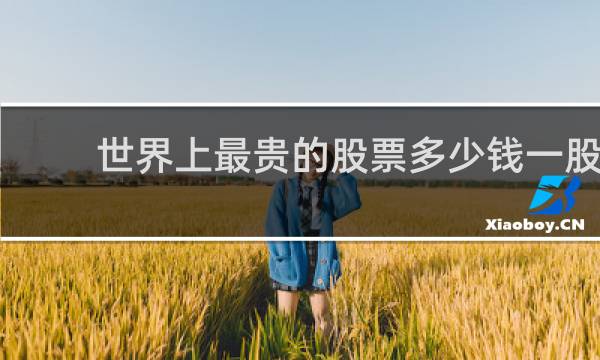 世界上最贵的股票多少钱一股