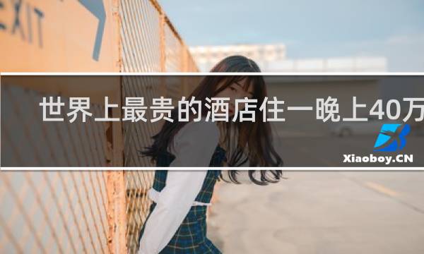 世界上最贵的酒店住一晚上40万元
