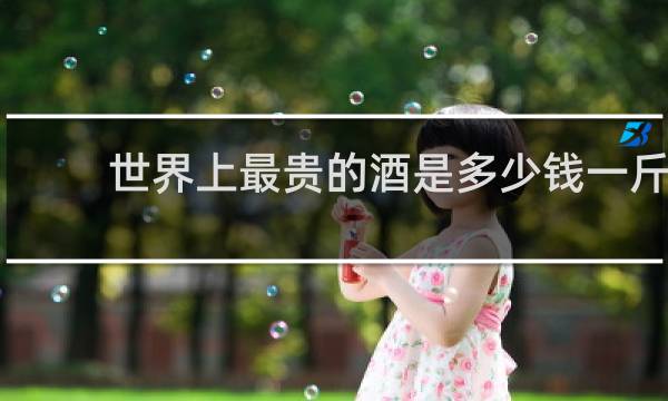 世界上最贵的酒是多少钱一斤