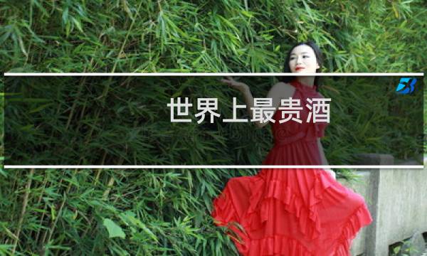 世界上最贵酒