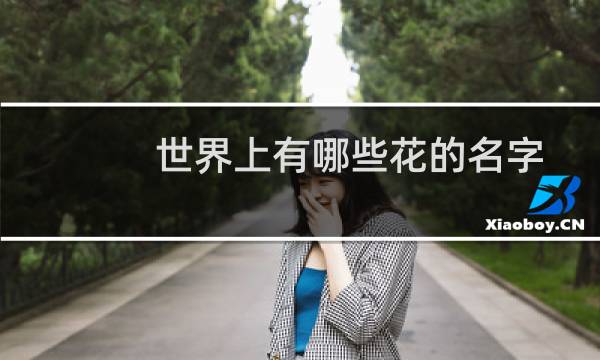 世界上有哪些花的名字
