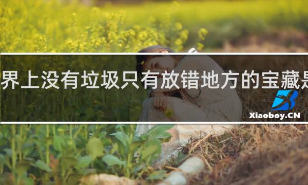 世界上没有垃圾只有放错地方的宝藏是谁说的