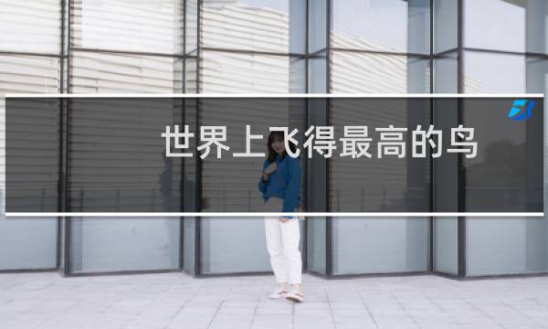 世界上飞得最高的鸟