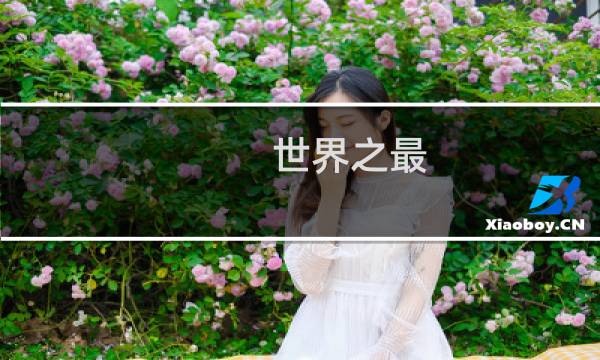 世界之最
