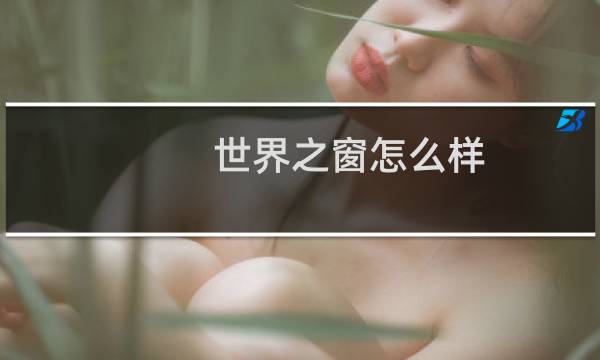 世界之窗怎么样