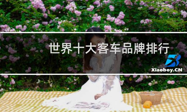 世界十大客车品牌排行
