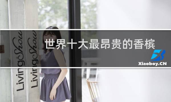 世界十大最昂贵的香槟